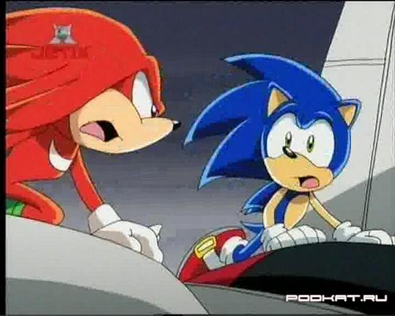 Sonic the hedgehog