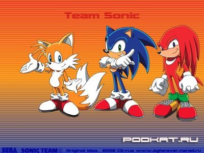 Sonic the hedgehog