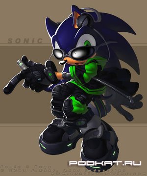 Sonic the hedgehog