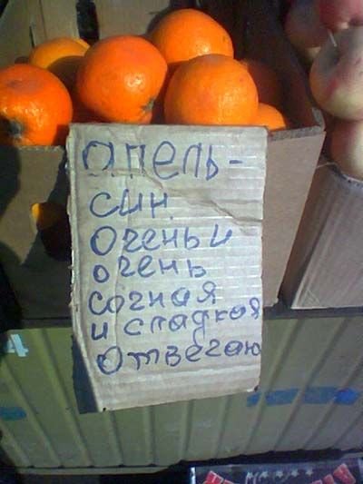 приколы приколы