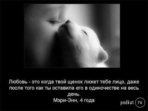 Что такое любовь? Что такое любовь?