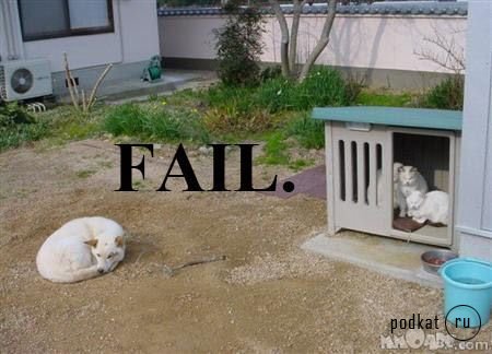 FAIL-2!!!