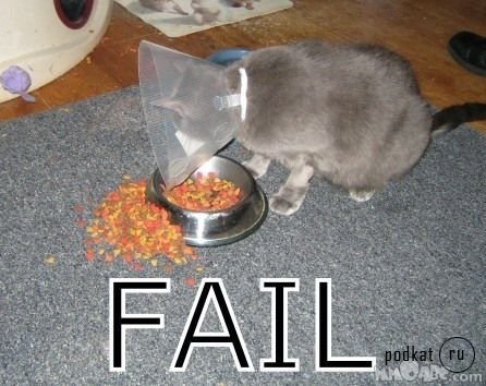 FAIL-2!!!