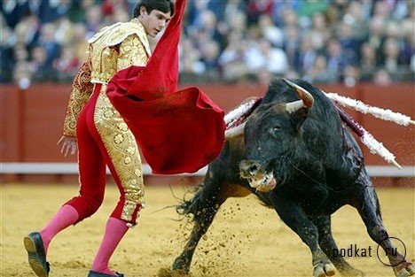 Corrida de torros