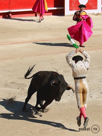 Corrida de torros