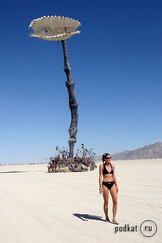  Burning Man