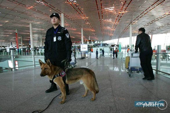 Beijing Capital International Airport