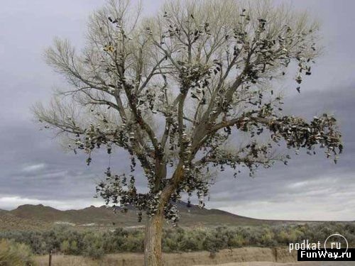 Кроссовочное дерево