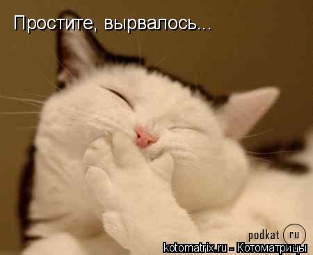 Котоматрица Котоматрица