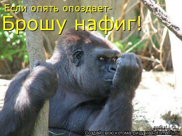Котоматрица Котоматрица