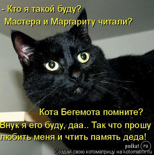 Котоматрица Котоматрица