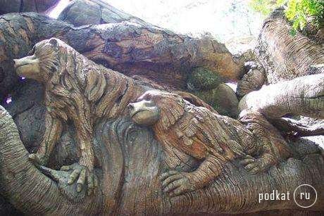 Сказочное дерево на берегу реки Лимпопо