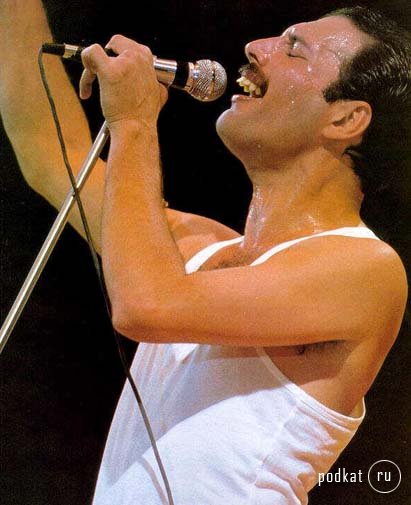   ( 6) Freddie Mercury