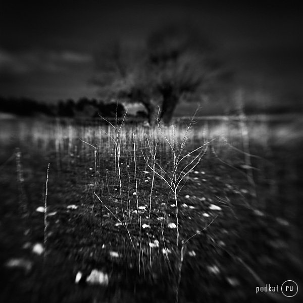  Ebru Sidar