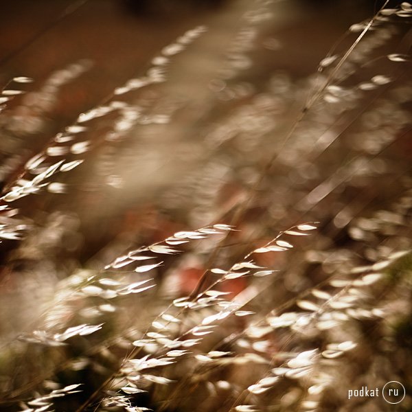  Ebru Sidar