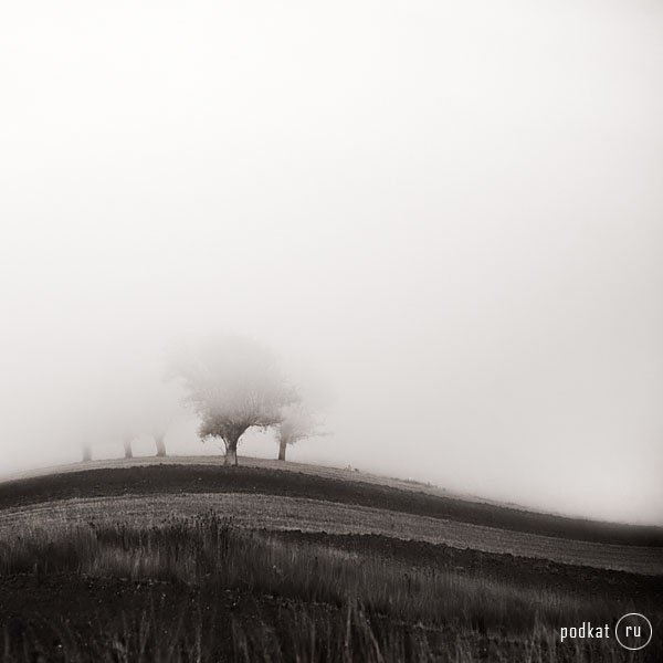  Ebru Sidar