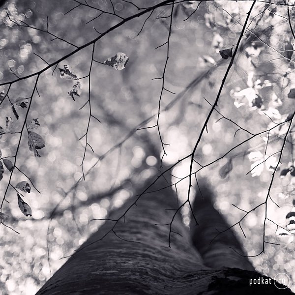  Ebru Sidar