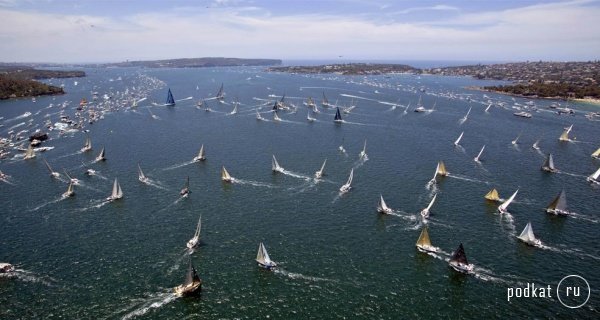 Volvo Ocean Race -    