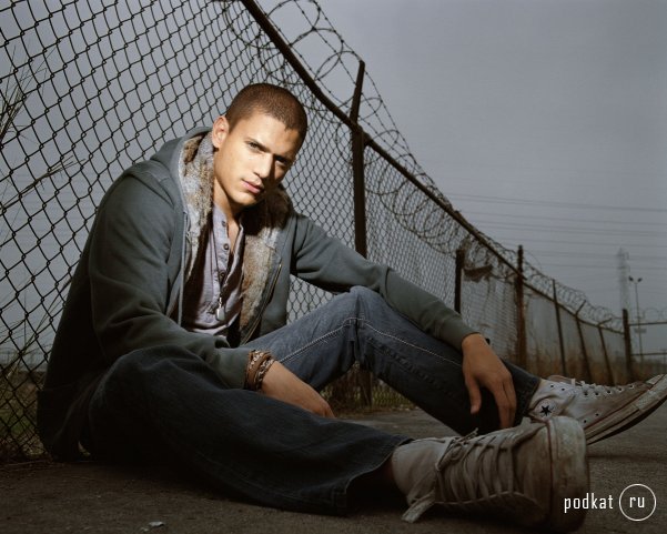 Wentworth Miller