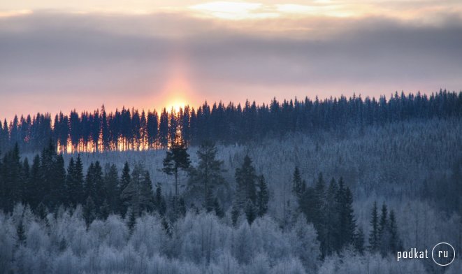 ...  Kari Liimatainen