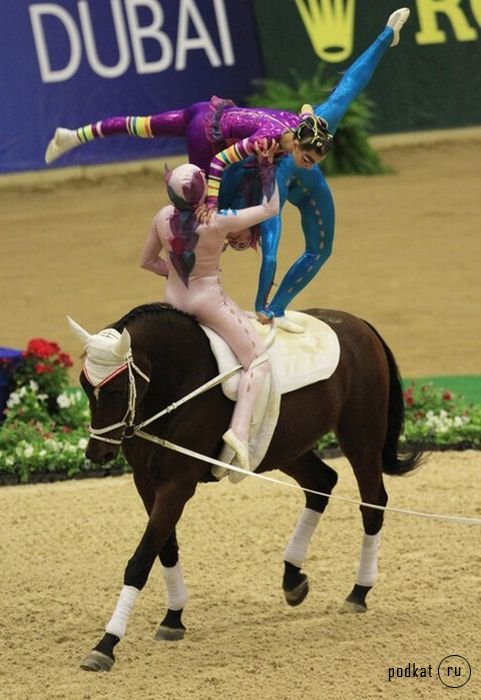 Чемпионат мира по акробатике на лошадях