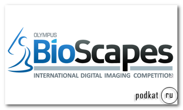 -10   Olympus BioScapes 2010