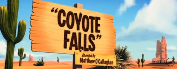 Coyote Falls 2010