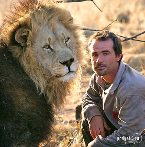 Kevin Richardson (Lion Man)