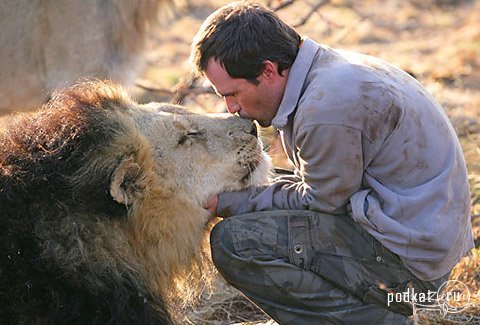 Kevin Richardson (Lion Man)