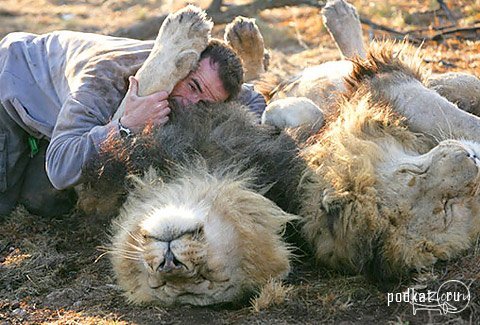 Kevin Richardson (Lion Man)