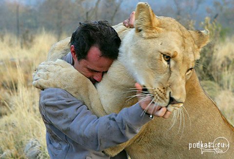 Kevin Richardson (Lion Man)