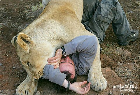 Kevin Richardson (Lion Man)