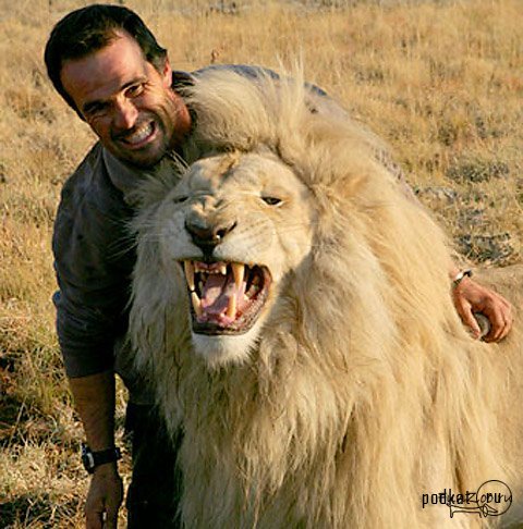 Kevin Richardson (Lion Man)