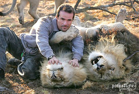 Kevin Richardson (Lion Man)