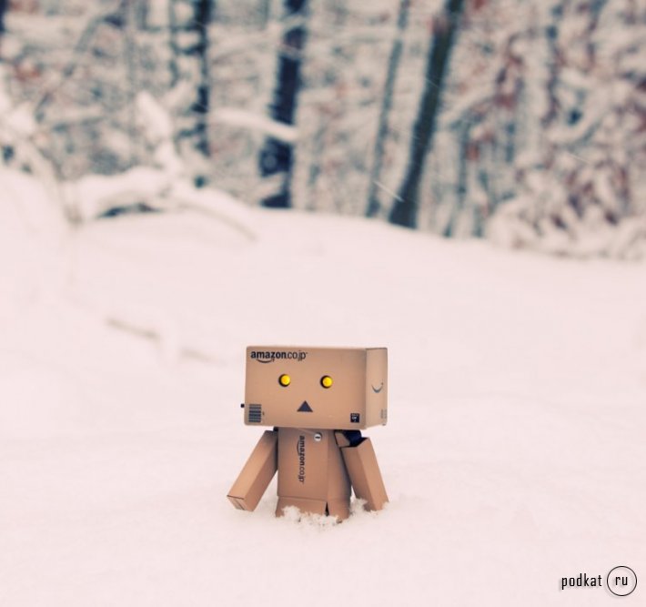  Wall-E  Danbo (55 )