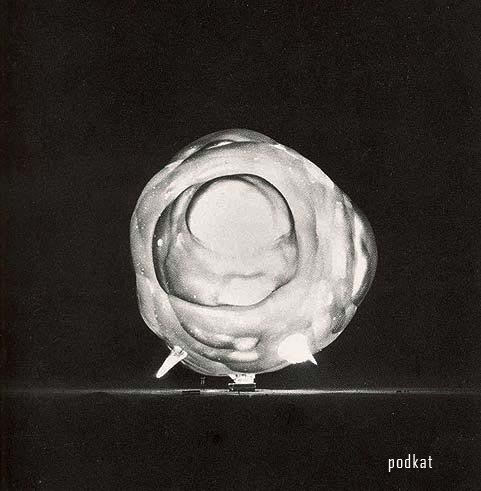    Harold Edgerton