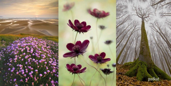  International Garden Photographer of the Year-2011