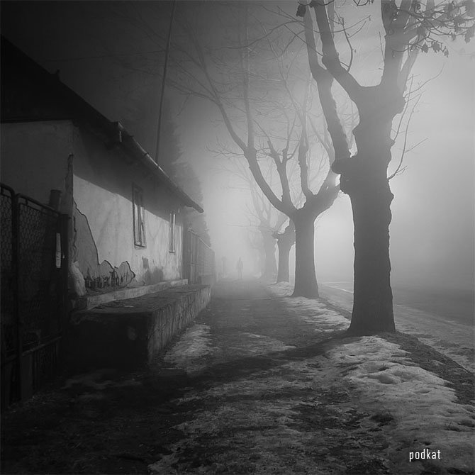    (Leszek Bujnowski)