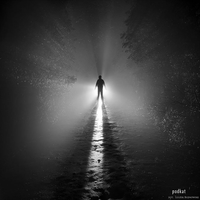    (Leszek Bujnowski)