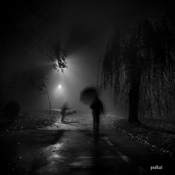    (Leszek Bujnowski)