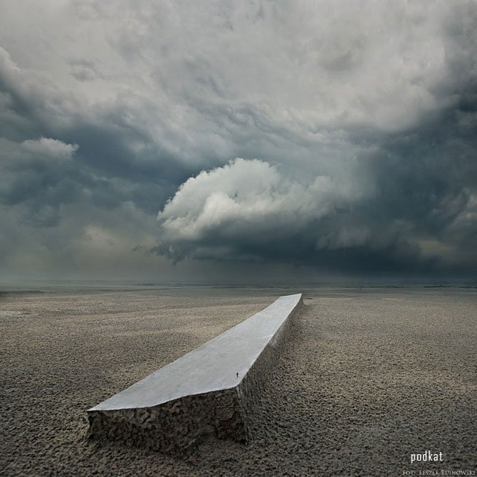    (Leszek Bujnowski)