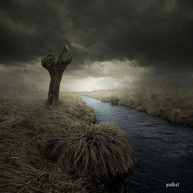    (Leszek Bujnowski)