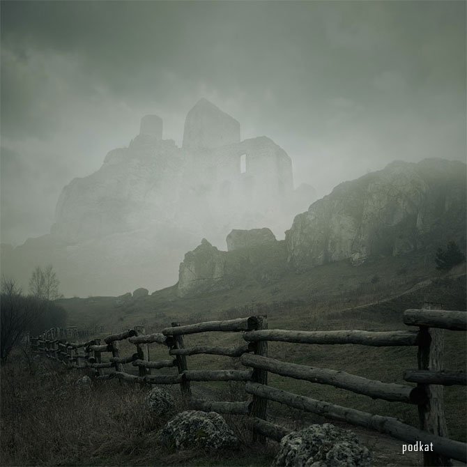    (Leszek Bujnowski)