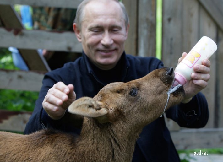   ... Vladimir Putin