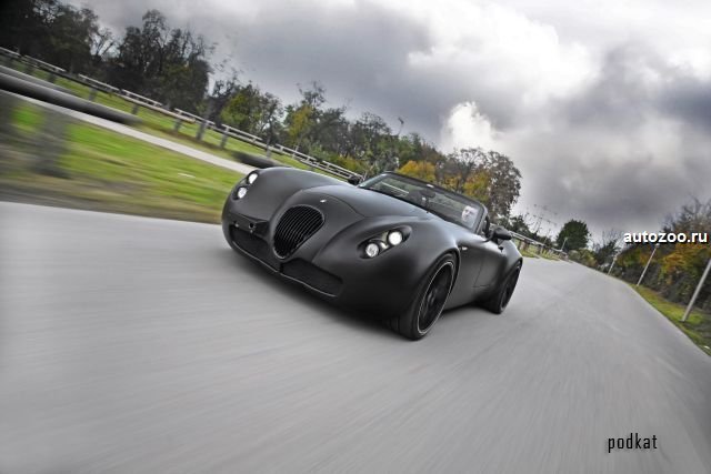   Wiesmann   