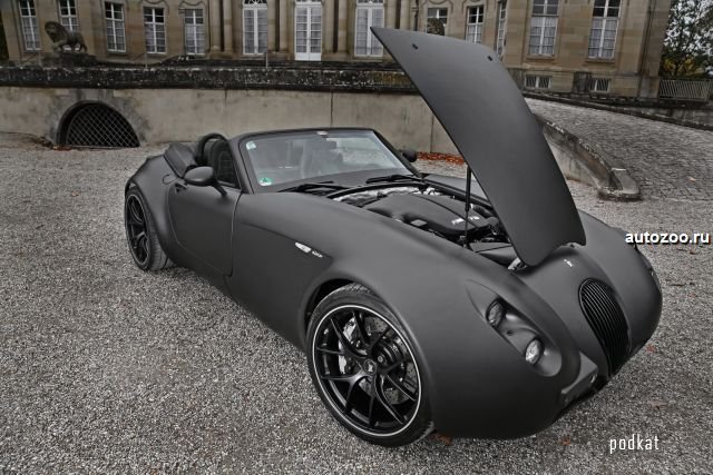   Wiesmann   