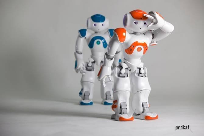    Nao Next Gen (5  + )