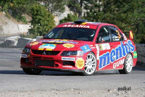 WRC 2010 Turkey Sergey Saluk MEGA FLY