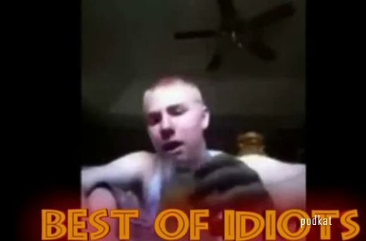 Best Of Extreme Idiots