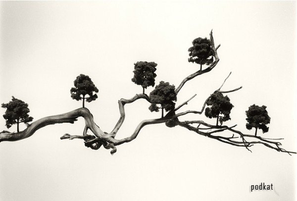 Chema Madoz